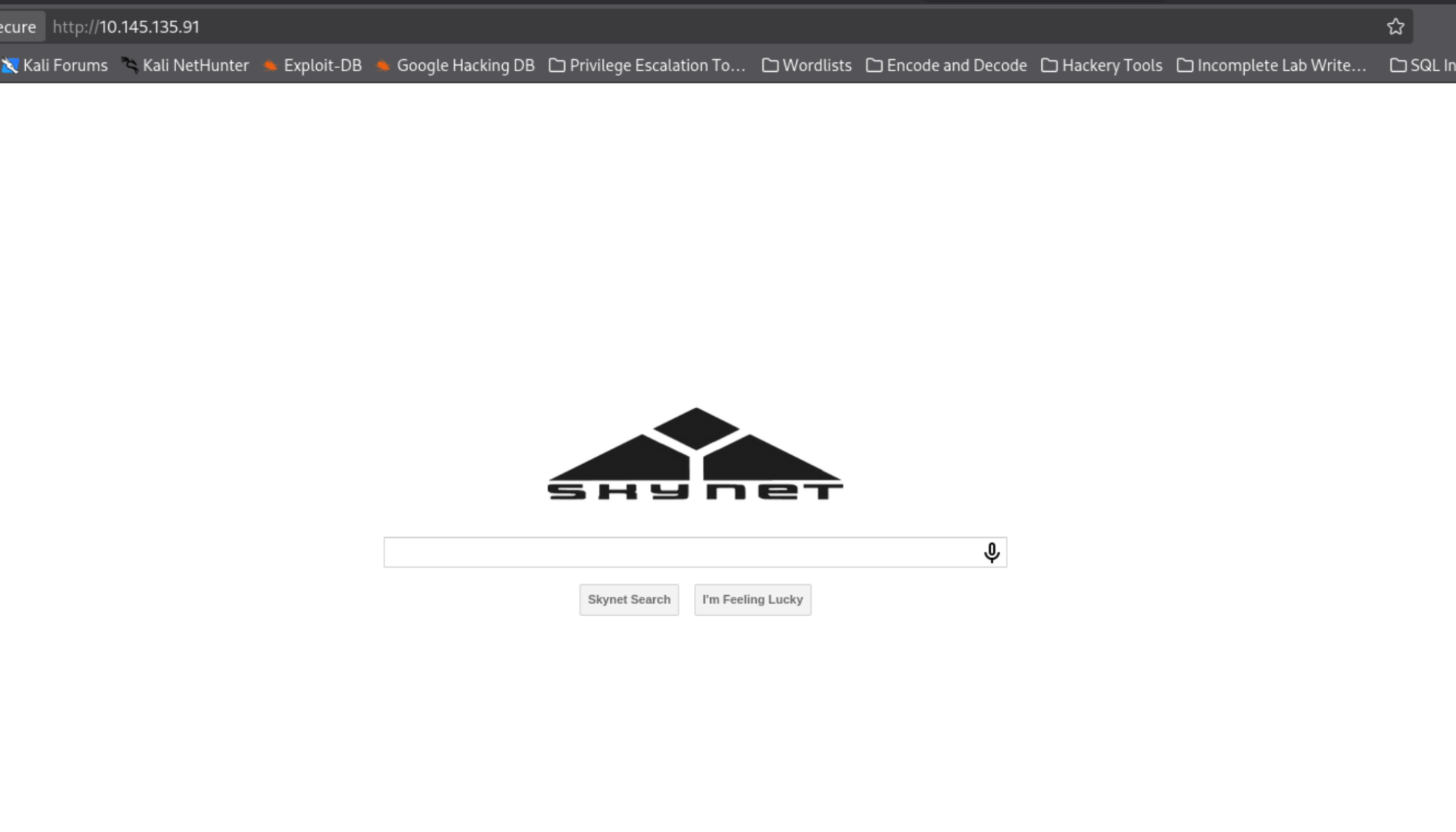 Skynet homepage in browser